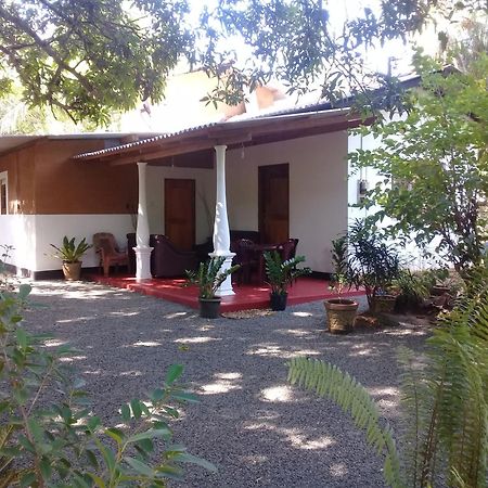 Tusker'S Paradise Safari Villa Udawalawe Exterior foto