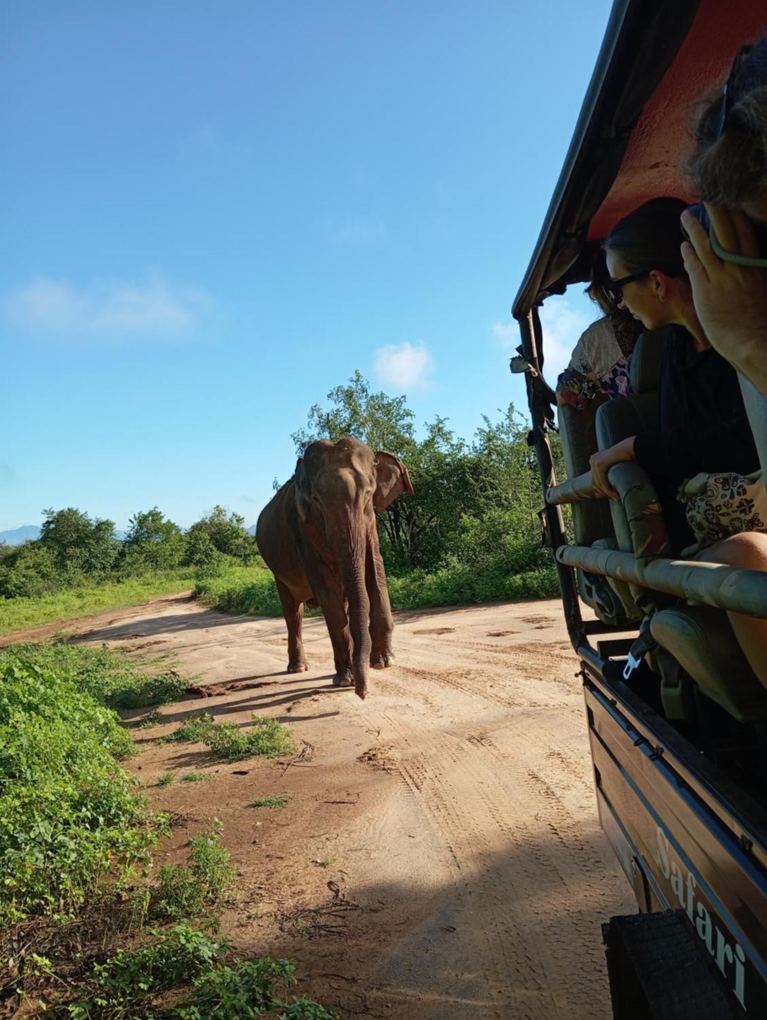 Tusker'S Paradise Safari Villa Udawalawe Exterior foto